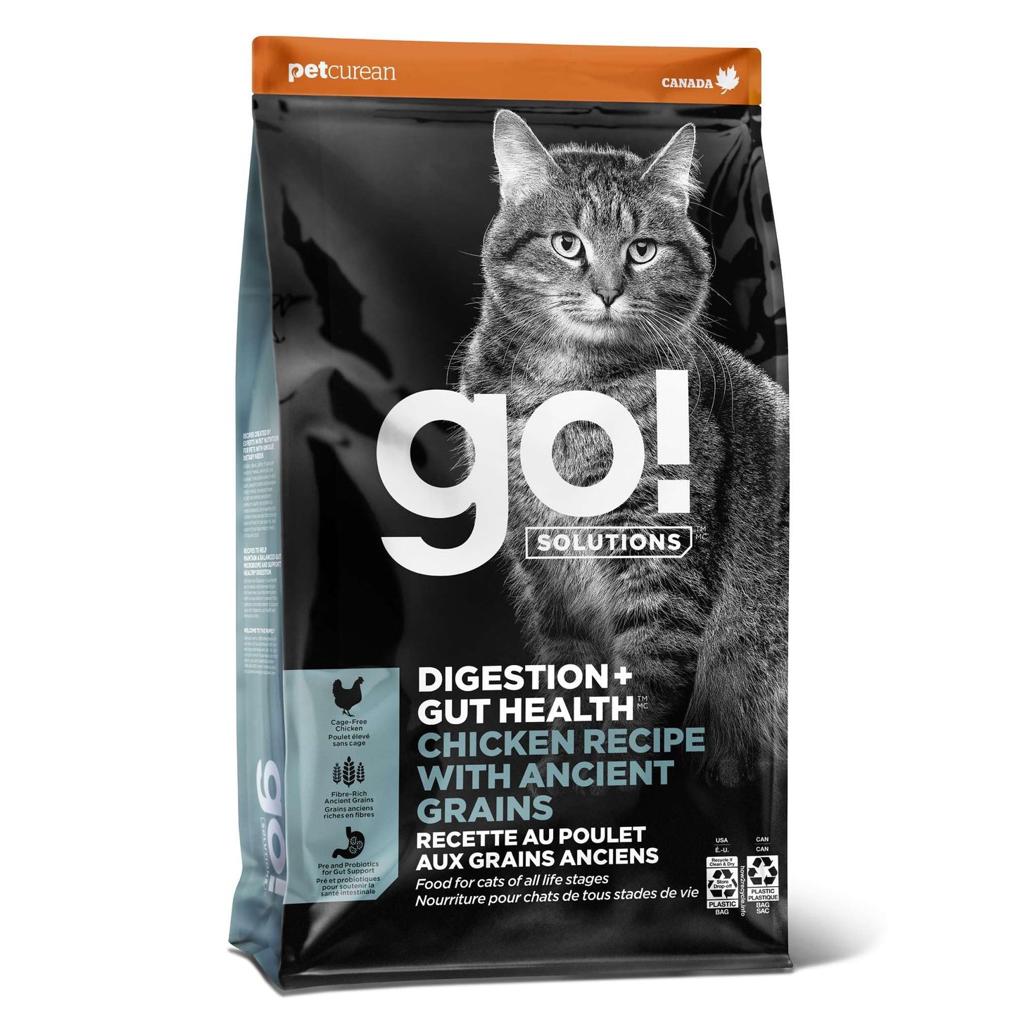 Go! Solutions Digestion + Gut Health Dry Cat Food Chicken Recipe with Ancient Grains 6 lb Bag
