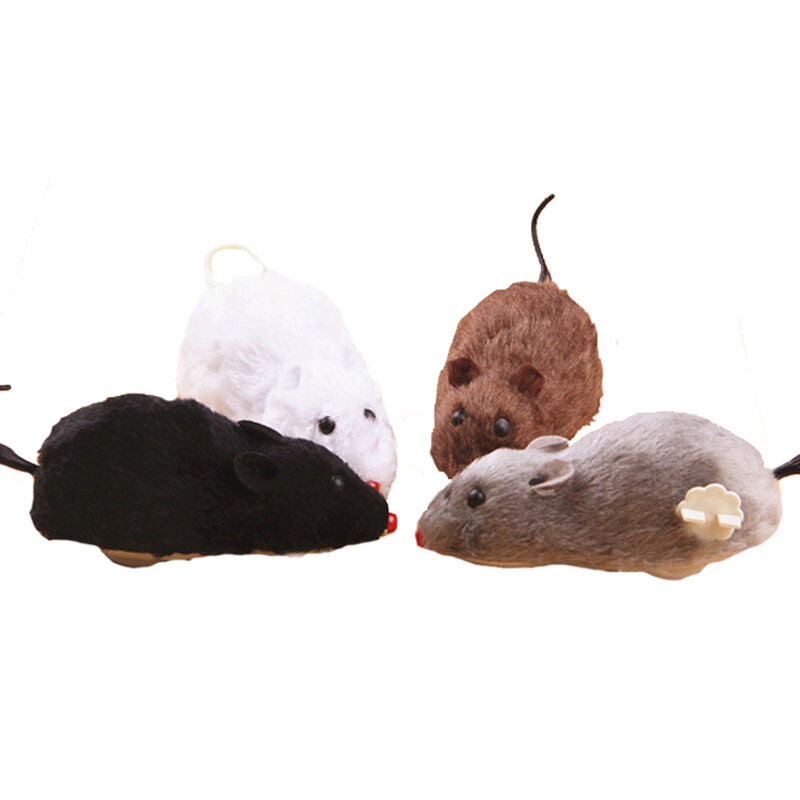 Feline Fun Toy Set with Wand