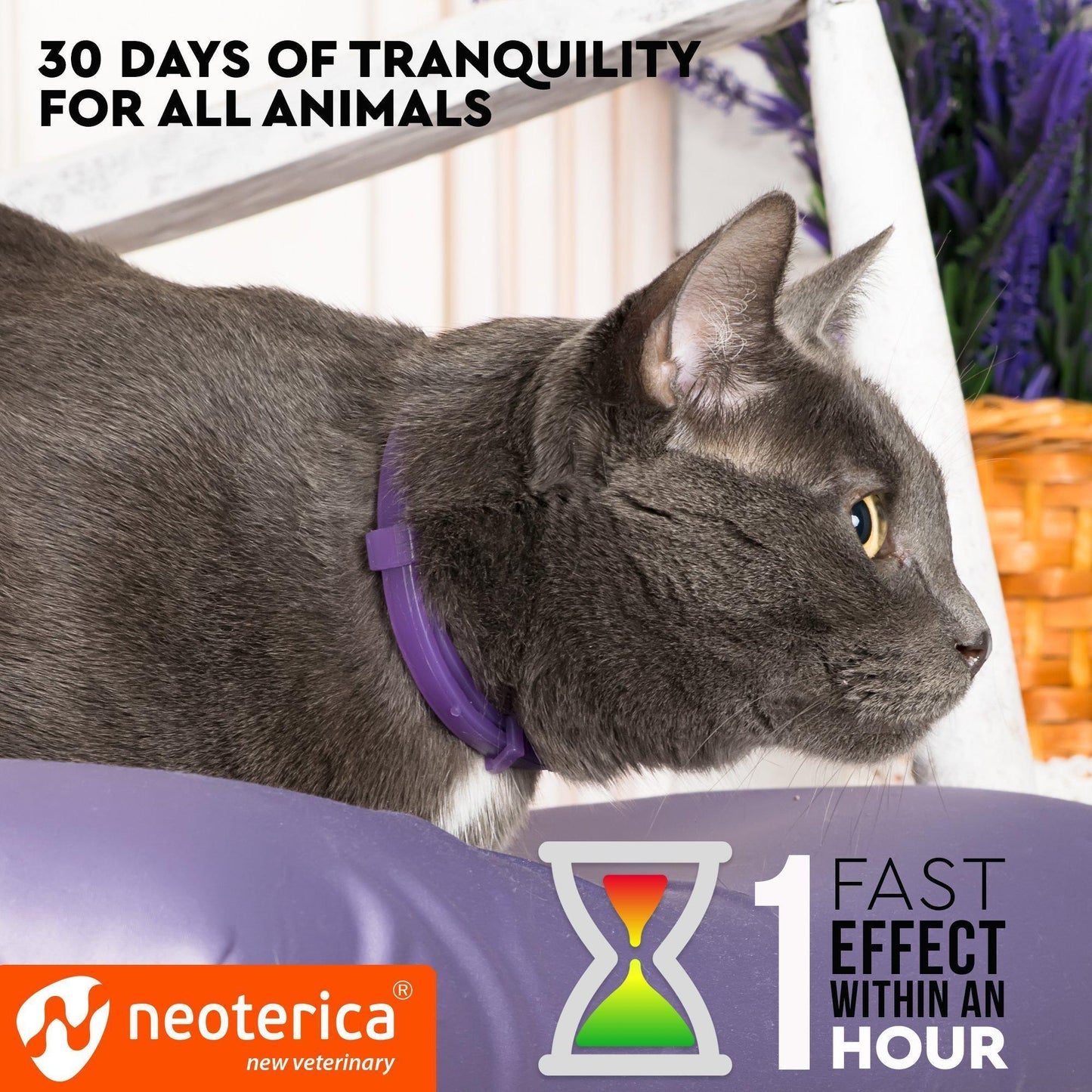 Feline Serenity Calming Collar