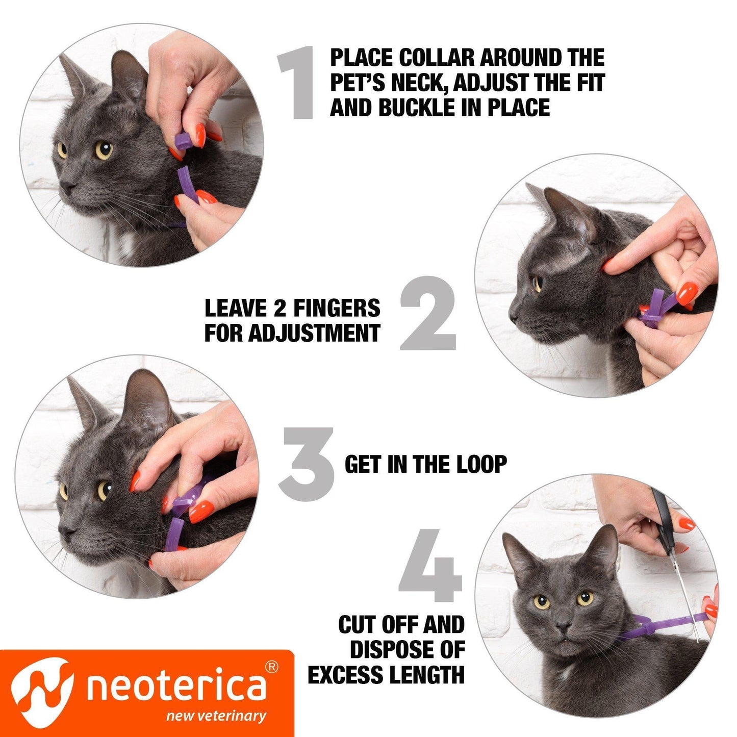 Feline Serenity Calming Collar