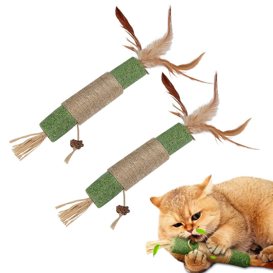 Dual Catnip Dental Sticks for Cats