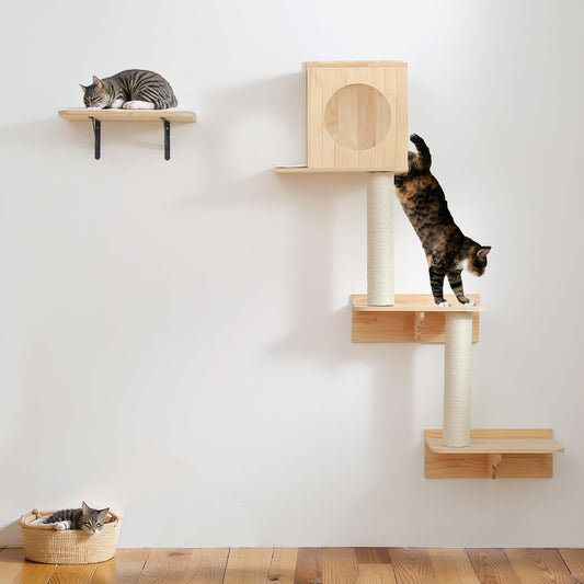 Five-Level Cat Climbing Wall