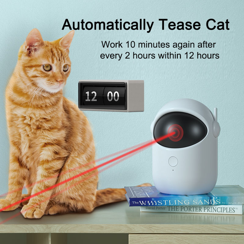 Laser Chase Pet Toy