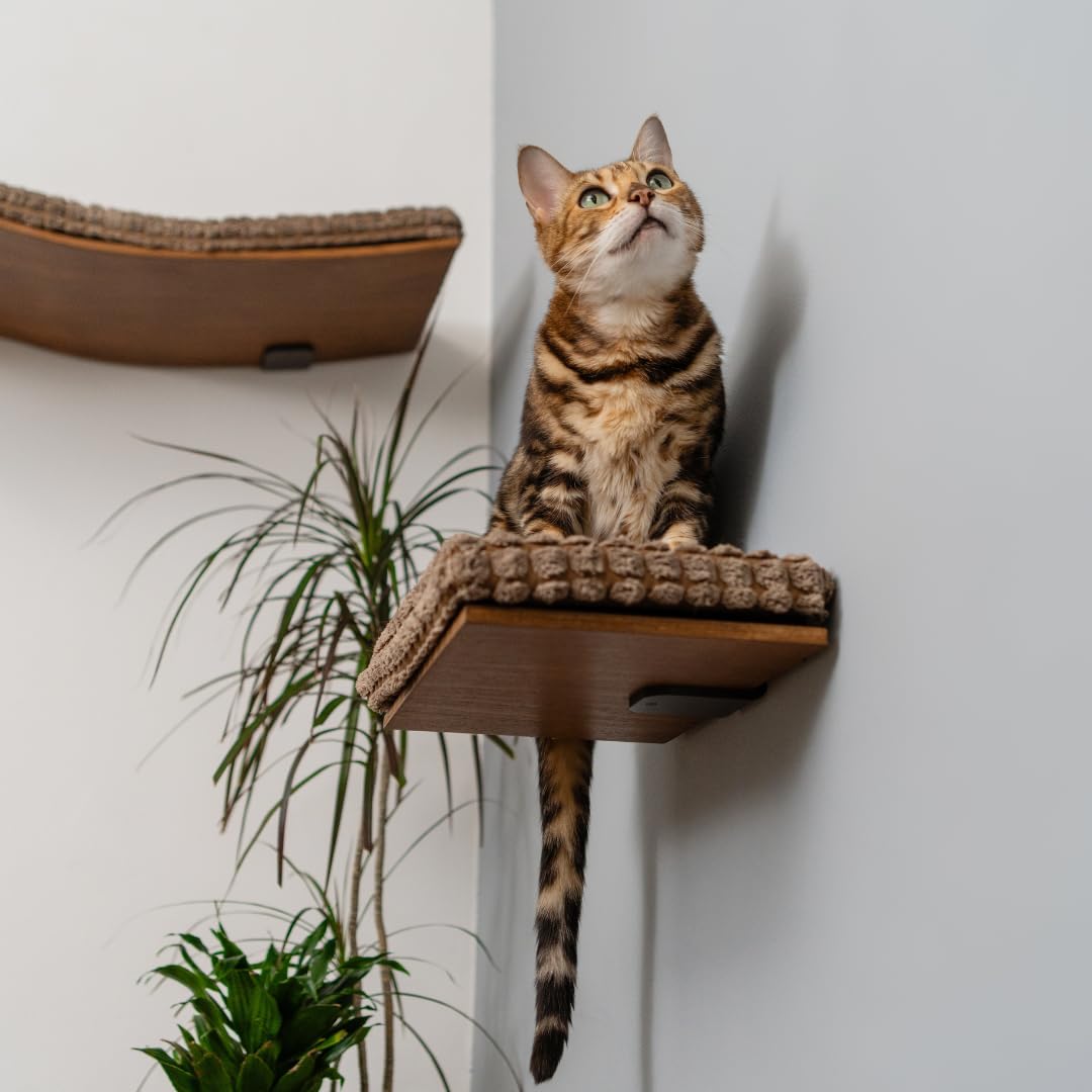 Beechwood Cat Wall Step