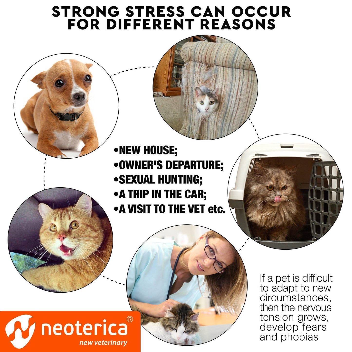 Feline Serenity Calming Collar