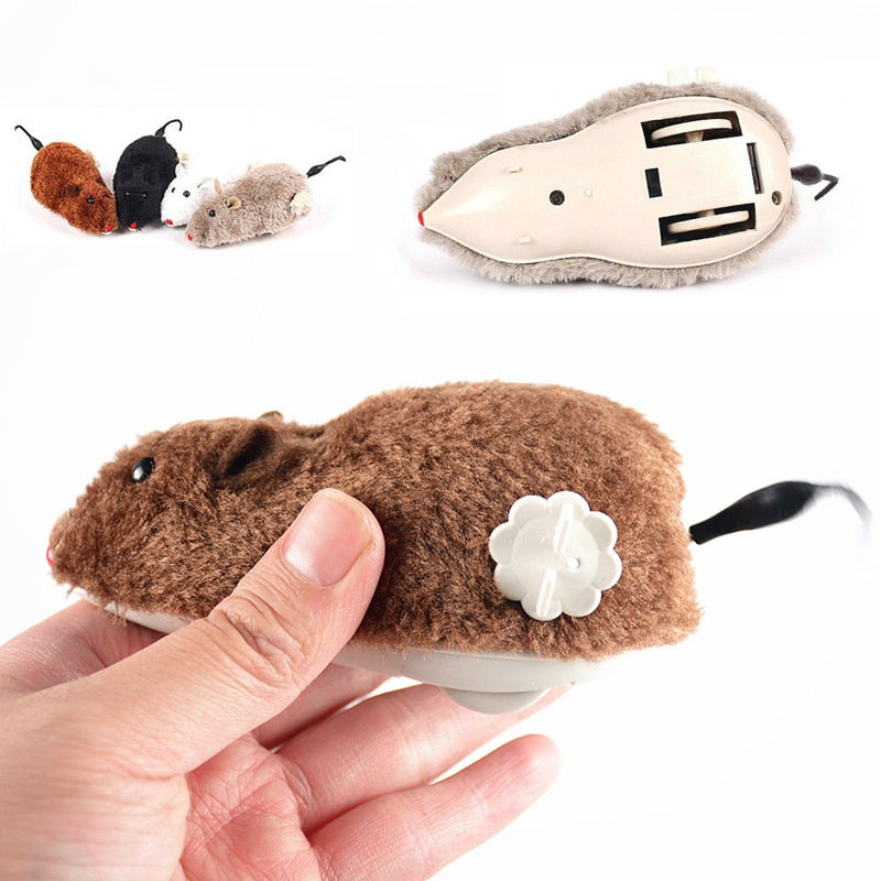 Feline Fun Toy Set with Wand